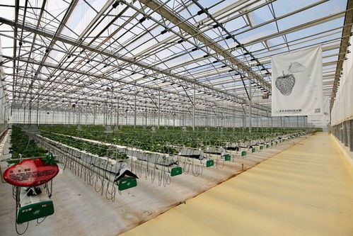 黄峥及拼多多创始团队向浙大捐赠一亿美元成立繁星科学基金 聚焦种植技术开发，助力农业科技革命