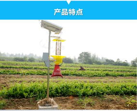 太阳能频振式杀虫灯助力黄秋葵无公害种植技术革新