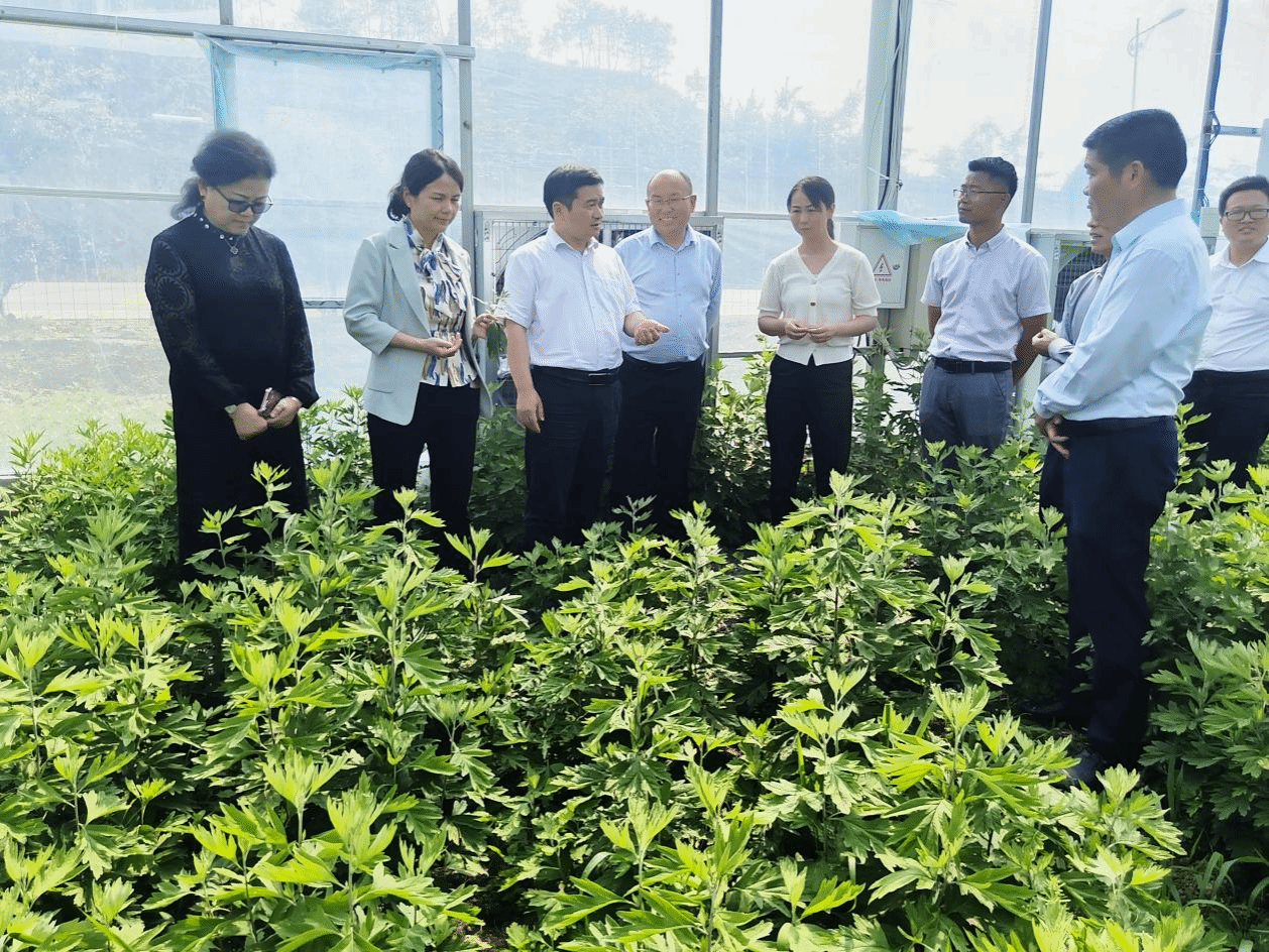 湖北中医药大学、湖北时珍实验室科研成果获湖北省科学技术进步一等奖