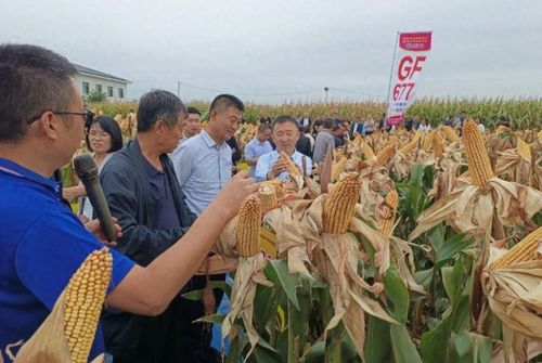 文水高效示范农业 科技种植引领助农发展新篇章