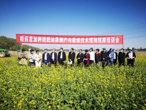 饲料绿肥油菜种植加工综合利用关键技术研究与示范现场观摩会成功举办，助推种植技术开发与集成应用