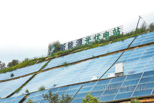 云南交投集团 以新质生产力赋能绿美通道经济，推动种植技术开发创新