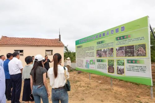 绿富双赢 全市林下经济产业发展观摩活动暨种植技术开发新篇章