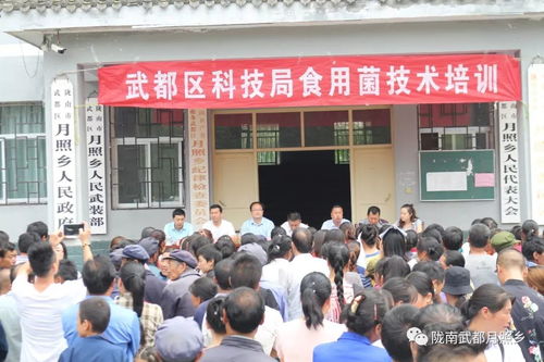 科技赋能农业，武都区科技局在月照乡举办食用菌栽培技术培训会助力乡村振兴